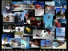 skateboarding-legends-collection-2013