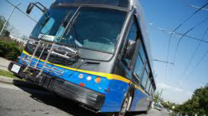 bus