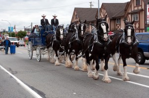 World Round-Up 2014 Parade 012